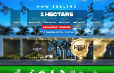 1 Hectare Payment Plan